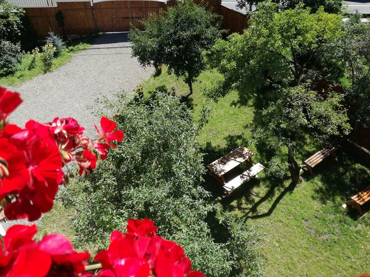 Boncz Udvar Praid Exterior foto